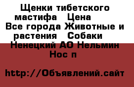 Щенки тибетского мастифа › Цена ­ 80 - Все города Животные и растения » Собаки   . Ненецкий АО,Нельмин Нос п.